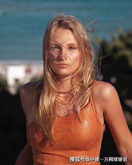 A联盟中 A联盟中