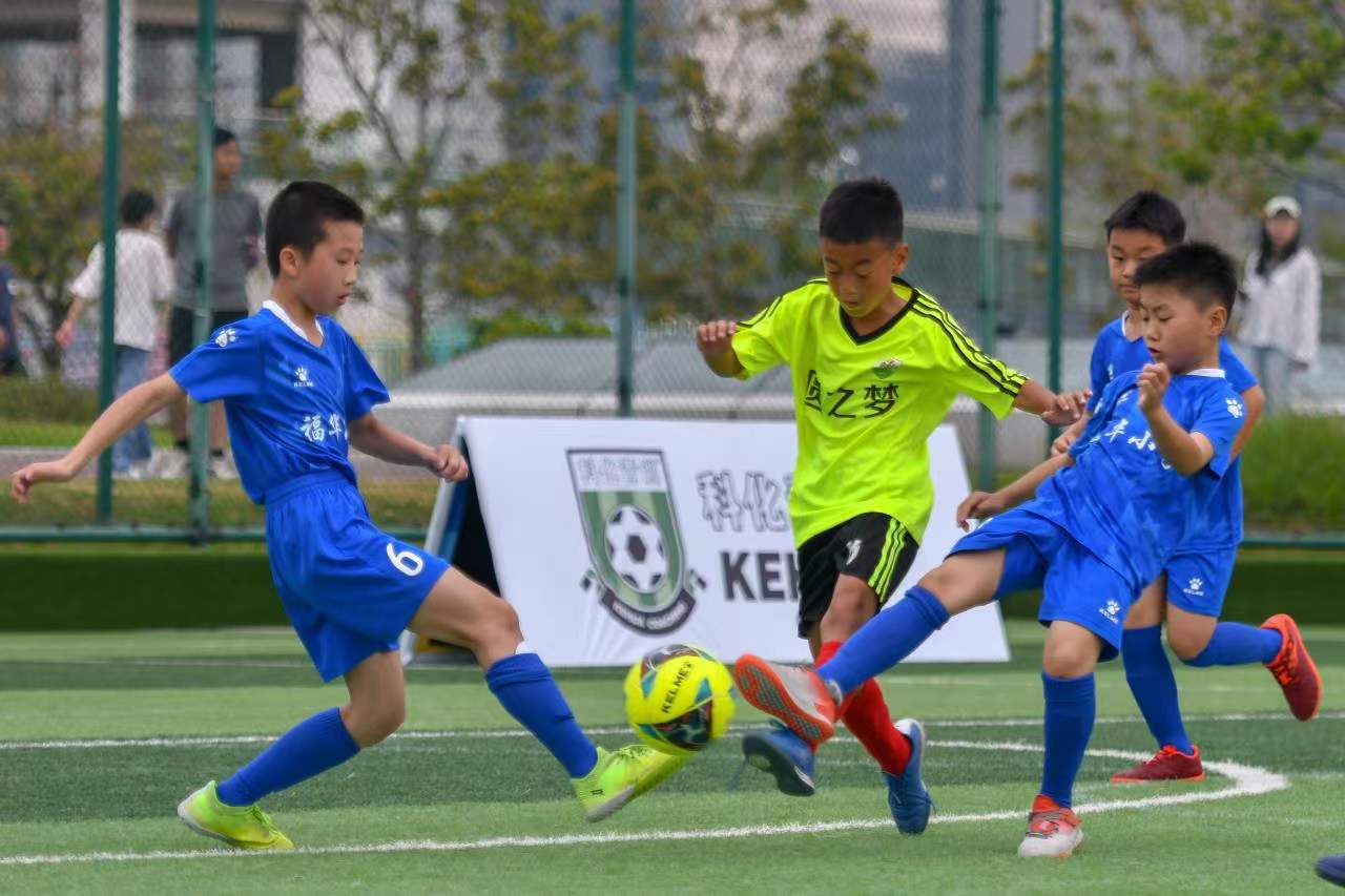 逐渐崭露头 逐渐崭露头