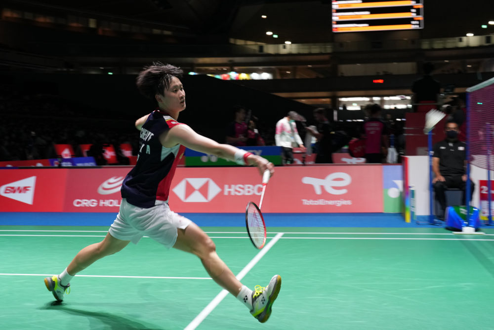 给观众提供 给观众提供