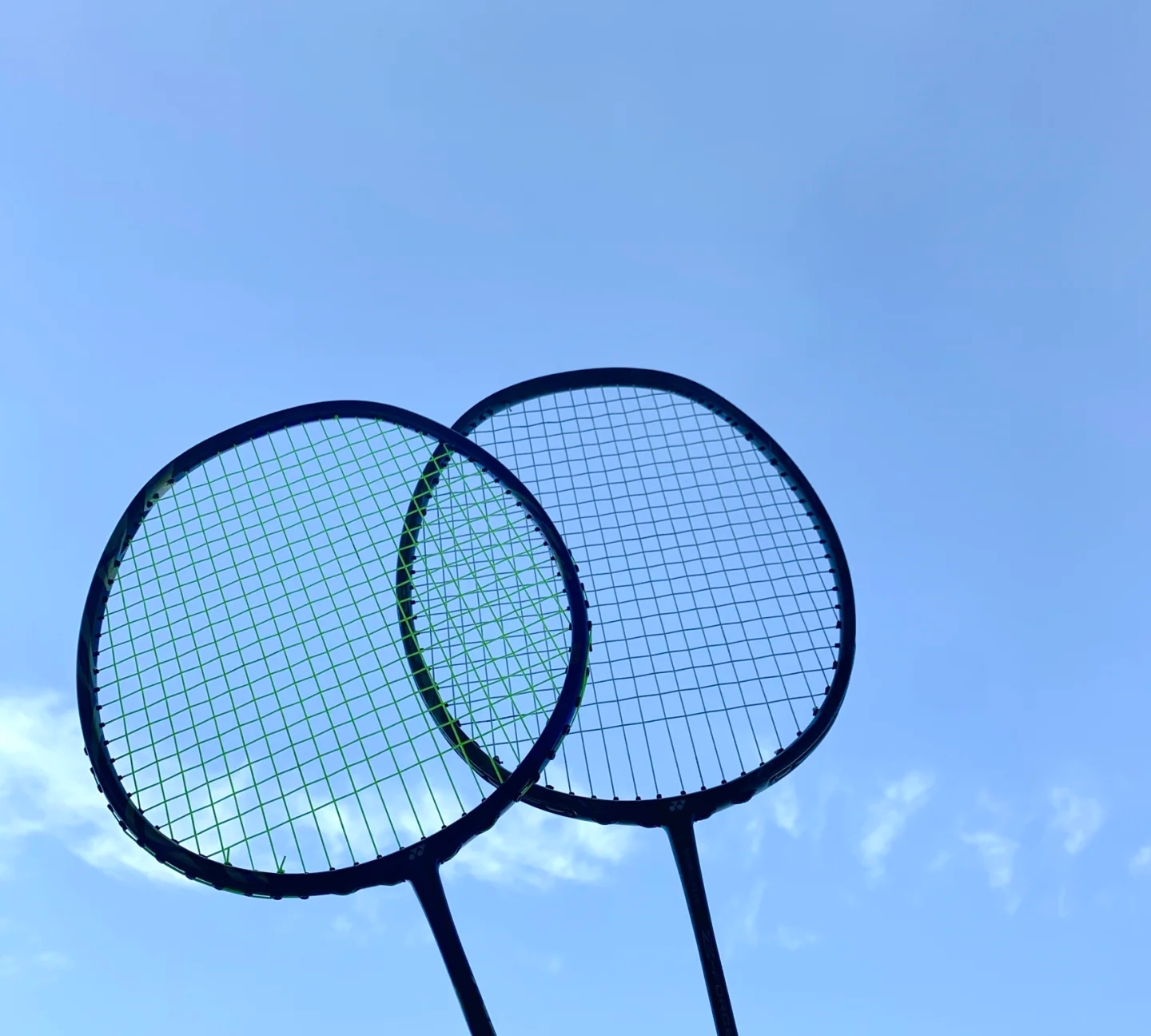 追逐莫兰特 追逐莫兰特